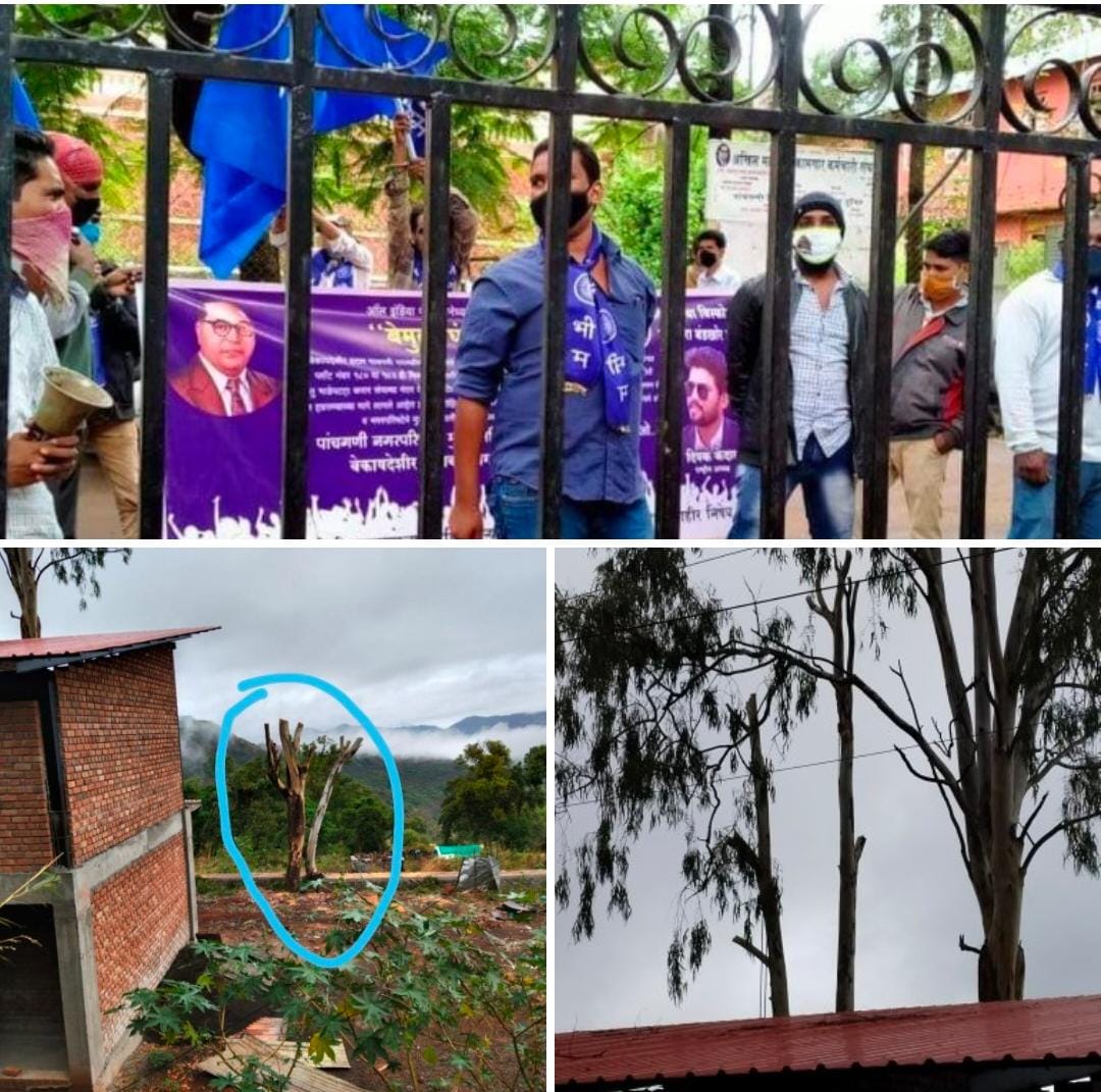 मौजे दांडेघर येथील पाचगणी वाई रोड लगत सर्वे नंबर 312/ मध्ये कुठलीही परवानगी नसताना नीलगीरि च्या झाडांची कत्तल पाचगणीच्या माजी नगराध्यक्षां यांच्या दबावा पोटी व आर्थिक देवाणघेवाणीतून च नगरपालिकेतील दापकेकरांन सह फॉरेस्ट च्या कुलकर्णी यांची हाताची घडी आणि तोंडा वरती बोट. ? कारवाई न केल्यास आंदोलन