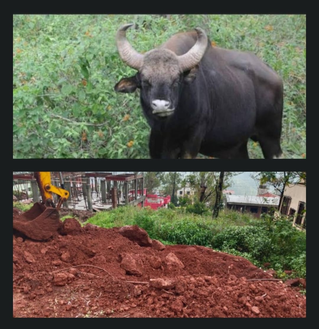 सुधारीक पणाचे धोंड बंद करून वस्तुस्थितीची निर्मिती करणे फार गरजेची आहे