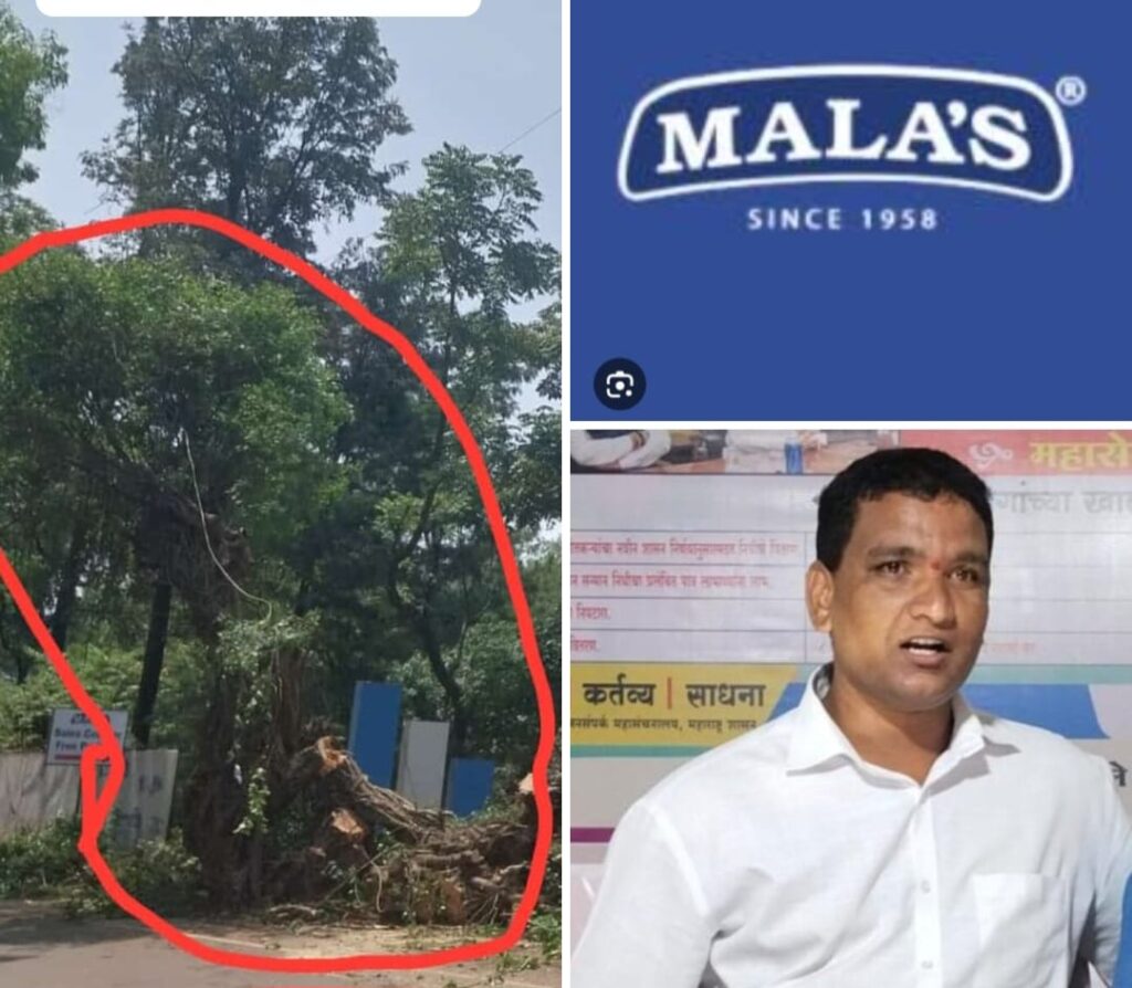 मोजे भोसे हद्दीतील मालास फॅक्टरी मध्ये वृक्षतोड प्रांतांचा आदेश आहे, असे सांगून अडथळा निर्माण न करणारे झाड पार्किंग साठी मालाज कंपनीने तोडले कंपनीवरती गुन्हा दाखल करण्याची अनमोल कांबळे यांची मागणी.,