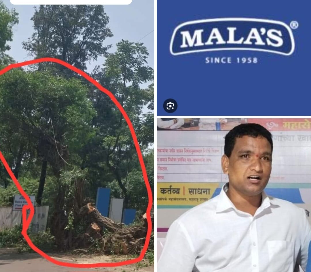 मोजे भोसे हद्दीतील मालास फॅक्टरी मध्ये वृक्षतोड प्रांतांचा आदेश आहे, असे सांगून अडथळा निर्माण न करणारे झाड पार्किंग साठी मालाज कंपनीने तोडले कंपनीवरती गुन्हा दाखल करण्याची अनमोल कांबळे यांची मागणी.,